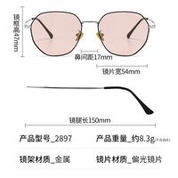 Photochromic glasses with blue light and UV protection 2897-2-GT