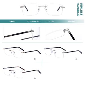 Оправа металлическая безободковая с флексом Big City 25609