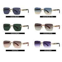 Metal rimless sunglasses Elit 3075-EL