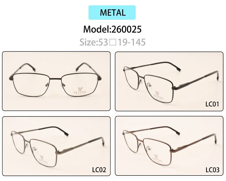 Metal eyeglasses frame for men with spring hinges 260025 (item in stock)
