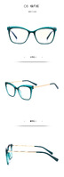 Plastic frames for glasses TR90+CA material (flex hinges) FOCUS FCS2035