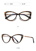 Plastic frames for glasses TR90+CA material (flex hinges) FOCUS FCS2111