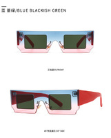 Sunglasses Elit in retro style 2104