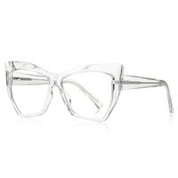 Plastic TR90 frames for glasses with Blue Ray Cut protection and flex hinges FOCUS FCS2157