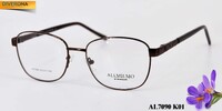 Metal eyeglass frame, material steel Allmilmo AL7090