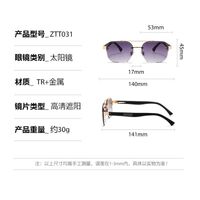 Plastic + metal retro sunglasses Elit ZTT031-EL