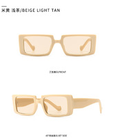 Sunglasses Elit modern 21010
