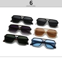 Plastic retro sunglasses with anti-blue light protection Elit 6070-EL