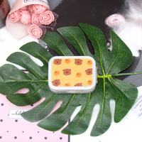 Kit for soft contact lenses (Kits for contact lenses) ZZ107