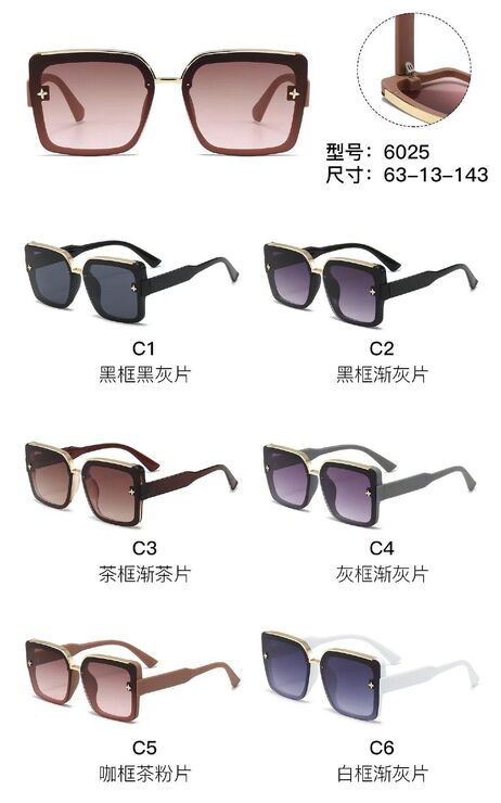 PC plastic sunglasses with metal hinge 6025W