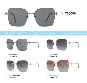 Titanium rimless frame polarized sunglasses TS5009