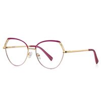Metal Blue Blocker frames for glasses MORE FCS3109