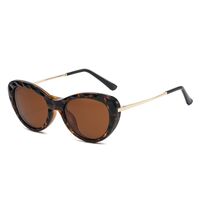 Plastic frame with flex + polarized sun protection magnet clip-on El Dorado EL2352D