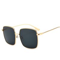 Polarized metal sunglasses with UV400 protection 2699-2-GT