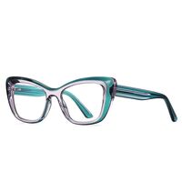 Plastic TR90 frames for glasses with Blue Ray Cut protection and flex hinges FOCUS FCS2172