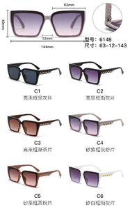 Солнцезащитные пластиковые очки из поликарбоната с металлическим шарниром 6148W