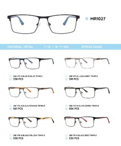 Metal frame with TR-90 temples with spring hinges MR1027