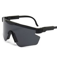 Polarized plastic TR90 sunglasses with UV400 protection 2948-GT