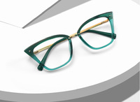 Plastic frames for glasses TR90+CA material (flex hinges) FOCUS FCS2069