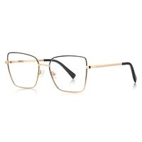 Metal Blue Blocker frames for glasses MORE FCS3088