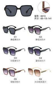 PC plastic sunglasses with metal hinge 6013W