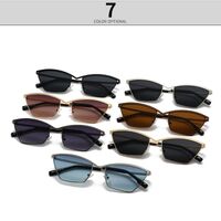 Metal retro sunglasses Elit 2594-EL