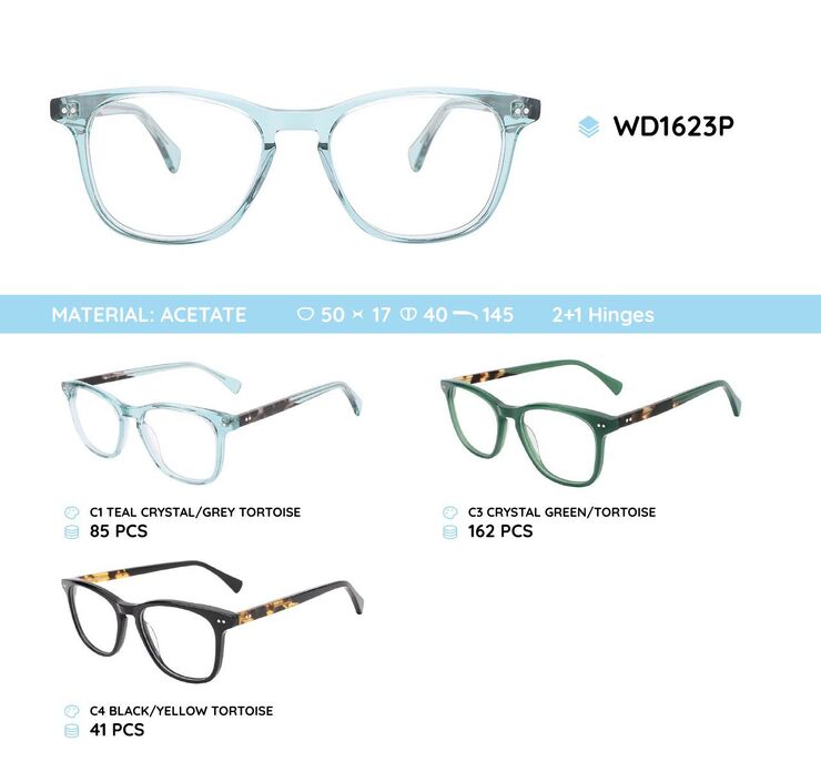 Plastic acetate eyeglasses frame WD1623P