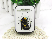 Kit for soft contact lenses (Kits for contact lenses) X5005-4