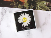 Kit for soft contact lenses (Kits for contact lenses) FX1022Daisy