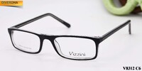 Plastic frames for glasses VIZZINI V8312