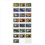 Очки защитные противоударные спортивные 109