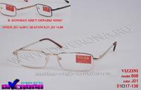 Eyeglasses in a metal frame with case tube Vizzini 898