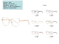 Metal frames for glasses 3007