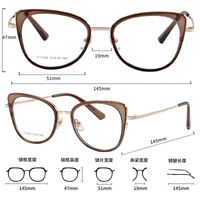 Combined frame (metal + TR90) MAMO S11926