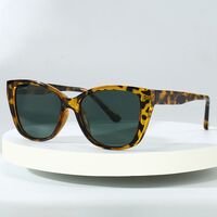 Polarized plastic TR90 sunglasses with UV400 protection 6013-GT