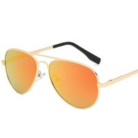 Polarized metal sunglasses with UV400 protection 3025L-2-GT
