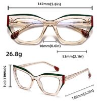 Plastic frame with anti-blue light protection lenses, with spring hinges Elit 5739-EL