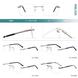 Оправа металлическая безободковая Big City 25607