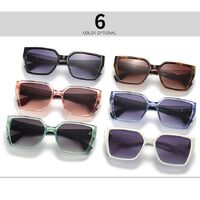 Plastic sunglasses for women Elit 2320-EL