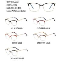 Protective anti-reflective coating metal glasses Landi LD801