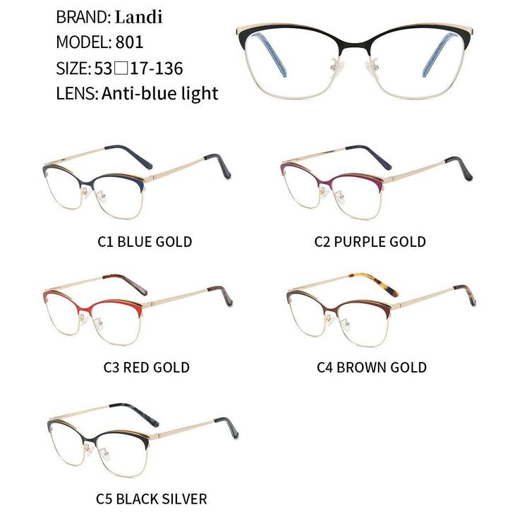 Protective anti-reflective coating metal glasses Landi LD801