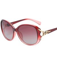 Polarized sunglasses with UV400 protection F8842