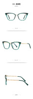 Plastic frames for glasses TR90+CA material (flex hinges) FOCUS FCS2069