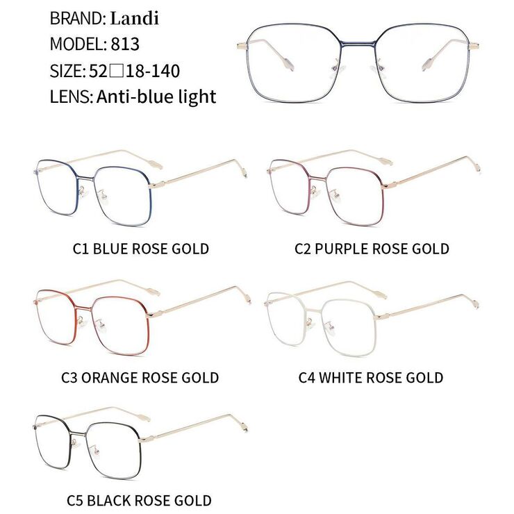 Protective metal glasses with anti-blue light lenses Landi LD813