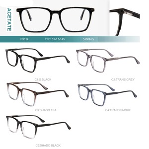 Acetate plastic frames for glasses with spring hinges Big City F3014