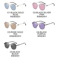 Очки металлические фотохромные с защитой от синего света 9673-GT