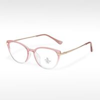 Оправа комбинированная (металл + TR90) с линзами Blue Ray Cut MAMO TR8220