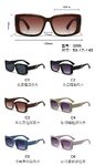 PC plastic sunglasses with plastic hinge 3205W