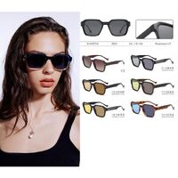 Polarized PC+CP plastic sunglasses with photochromic lenses Rianova R9001