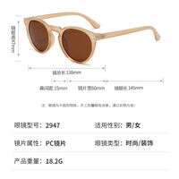 Polarized plastic sunglasses with UV400 protection 2947-2-GT